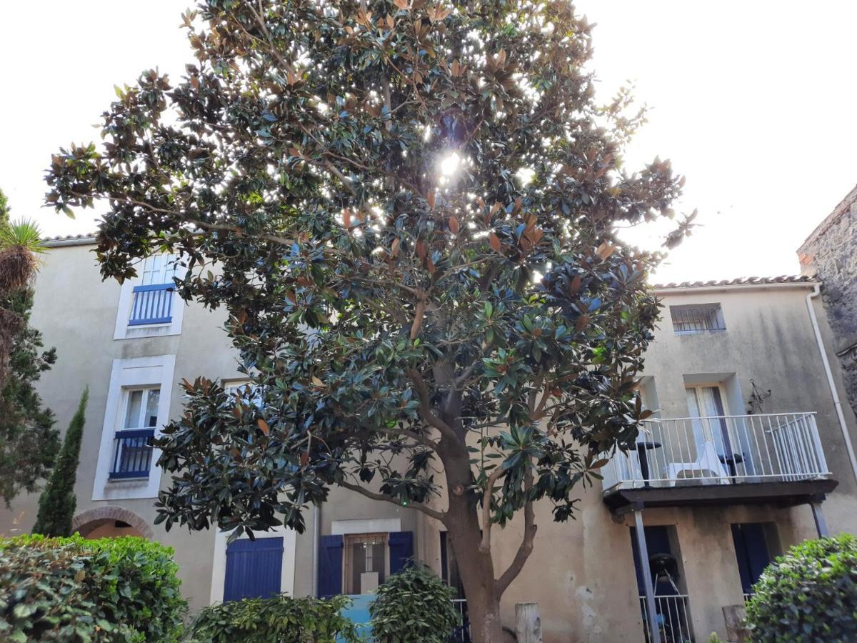 Appartement De Charme Sur Le Port De Marseillan Dış mekan fotoğraf